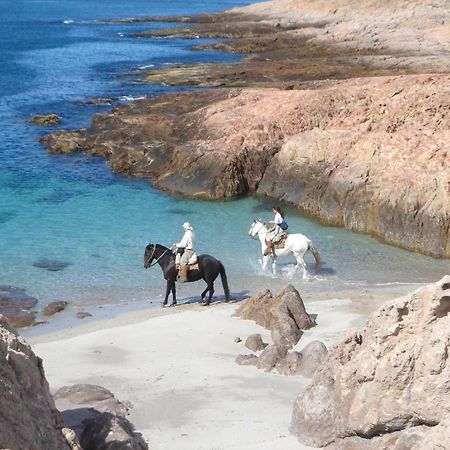 Bahia Bustamante Lodge Ngoại thất bức ảnh