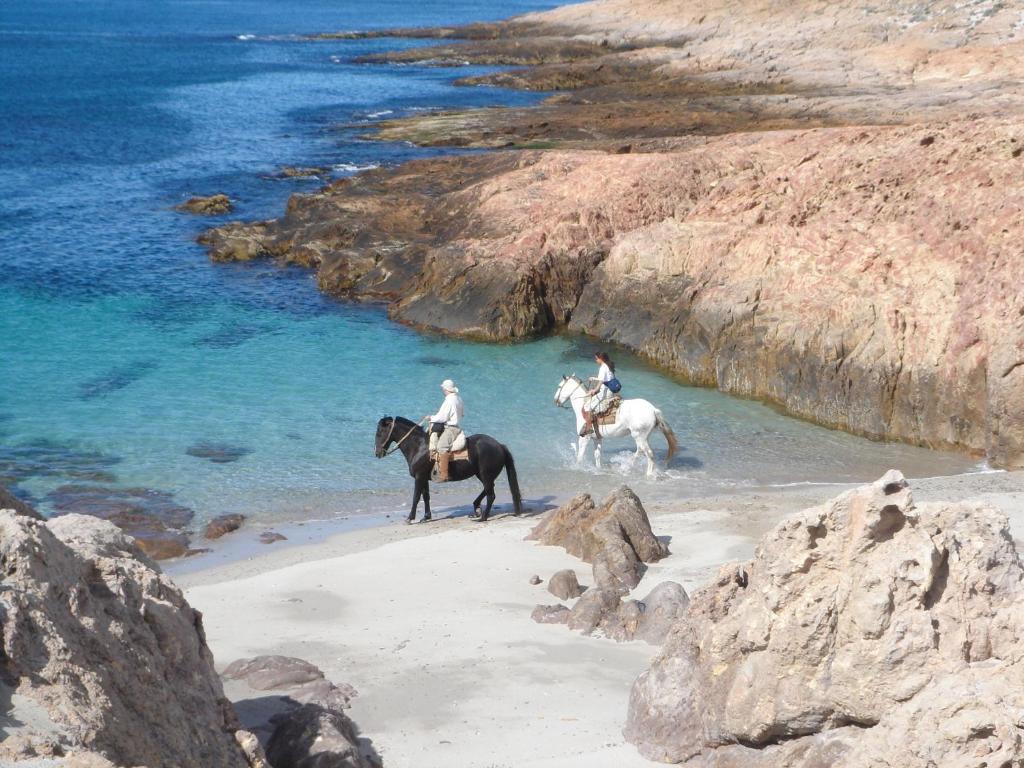 Bahia Bustamante Lodge Ngoại thất bức ảnh